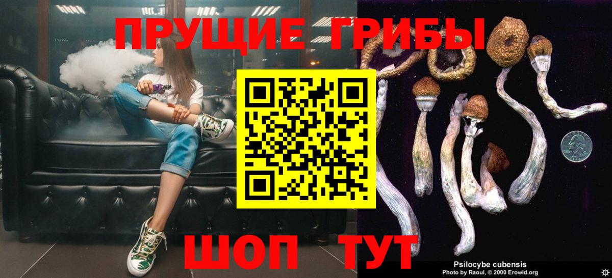 Псилоцибиновые грибы Magic Shrooms Свободный